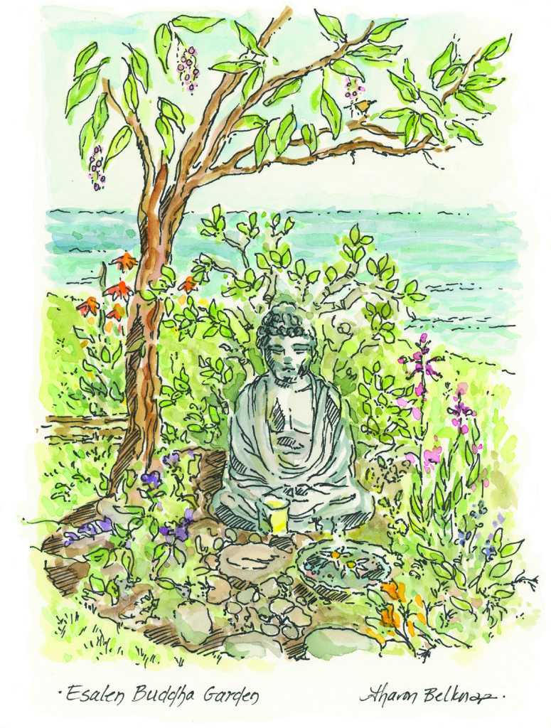 buddha garden